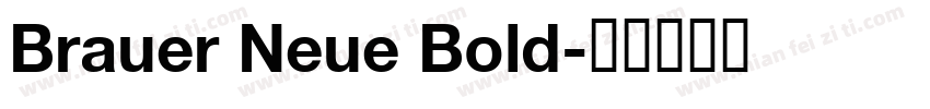 Brauer Neue Bold字体转换